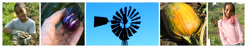 Alemany Farm